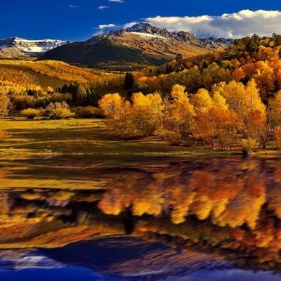 半岛综合app官网版登录